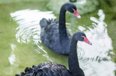 FB_IMG_1757669961454