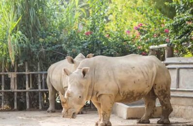 FB_IMG_1757669965477