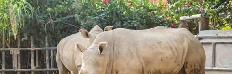 FB_IMG_1757669965477