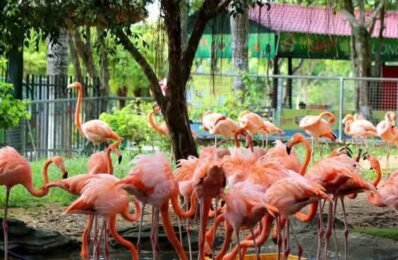 FB_IMG_1757669968522