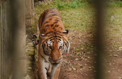 490229605_9831014390324627_6677716406684712280_n